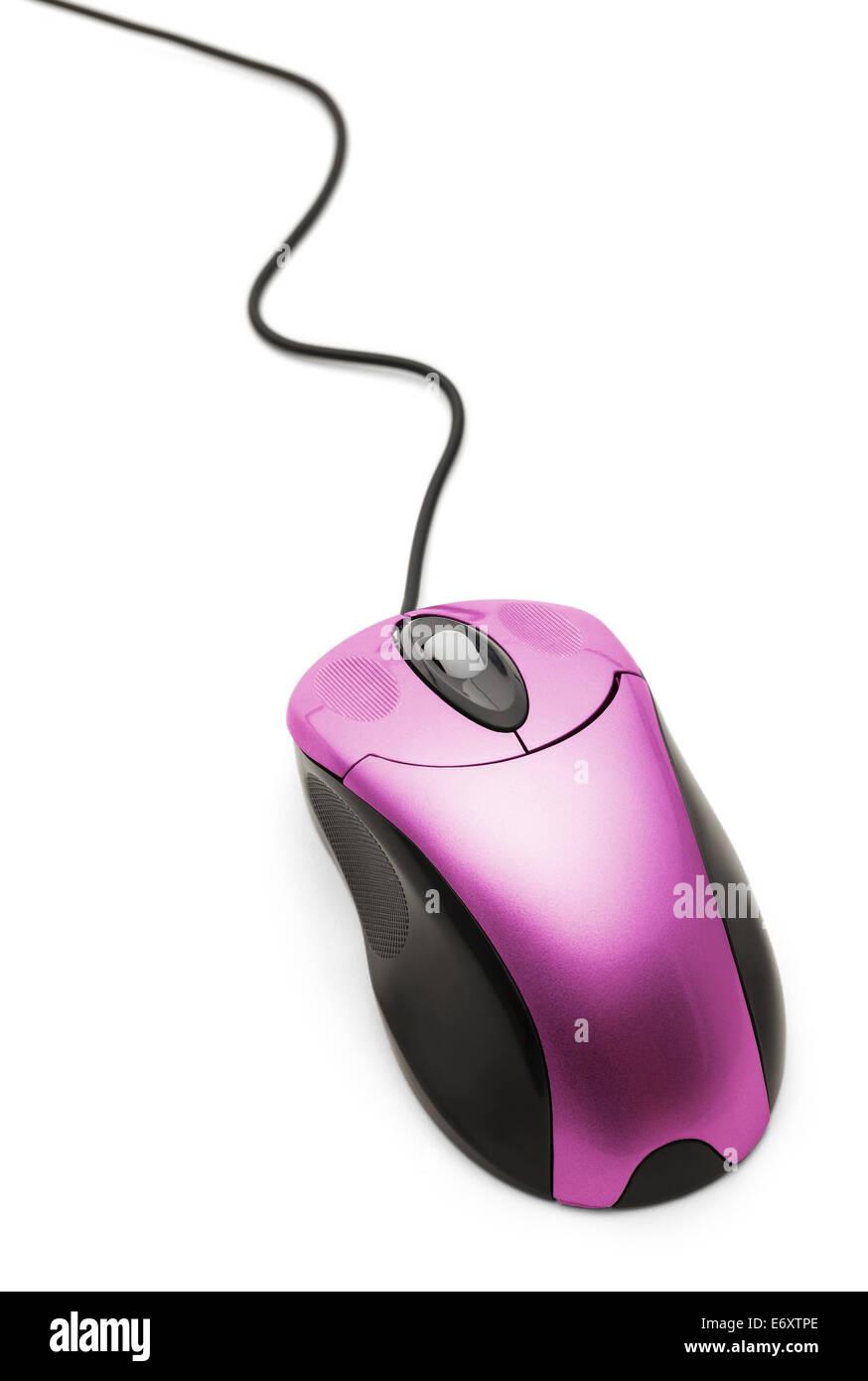 mouse.jpg