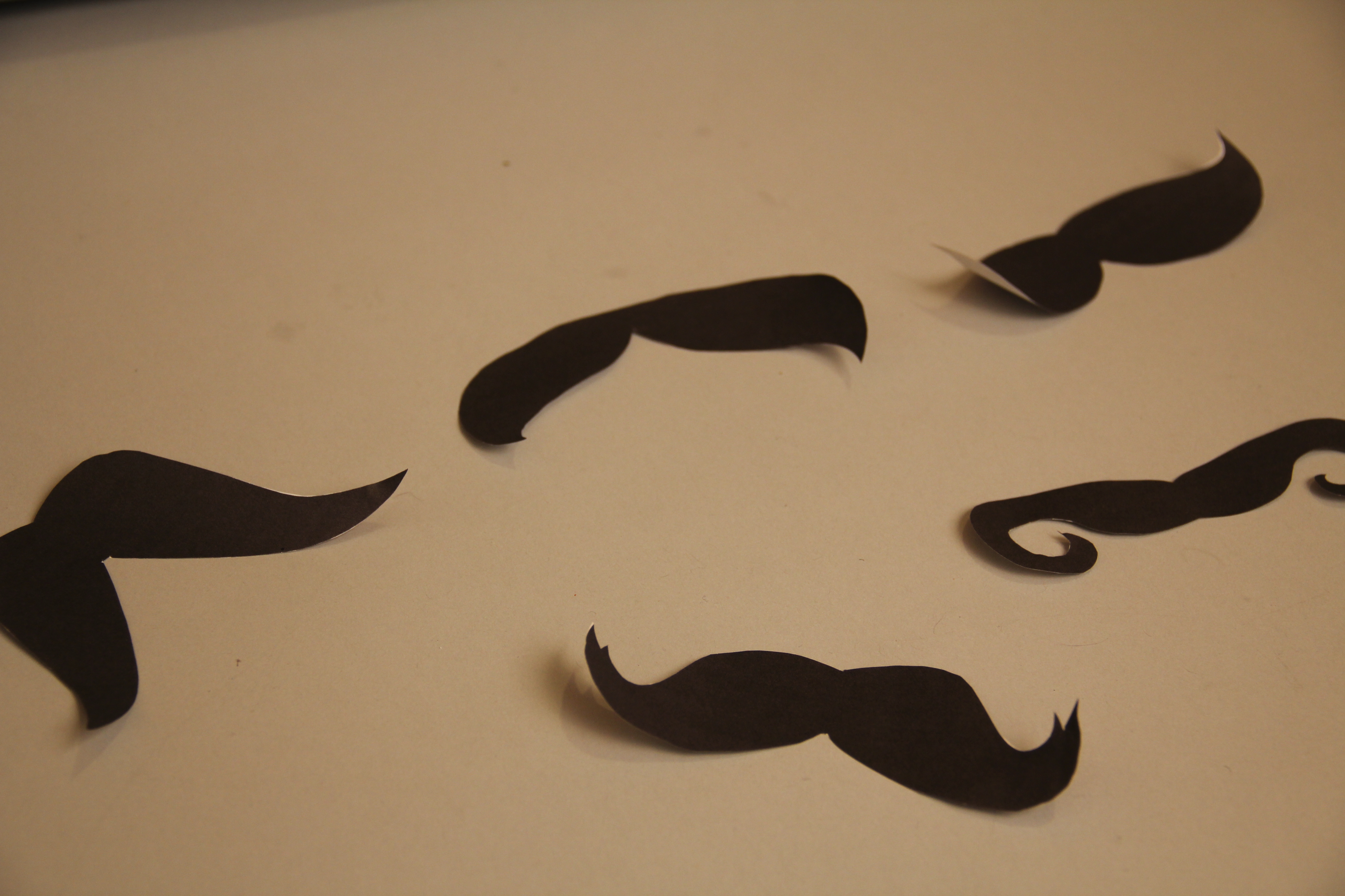 moustache 004.jpg