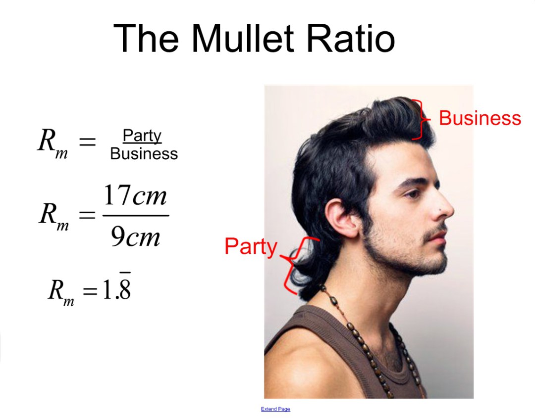 mullet-ratio.jpg