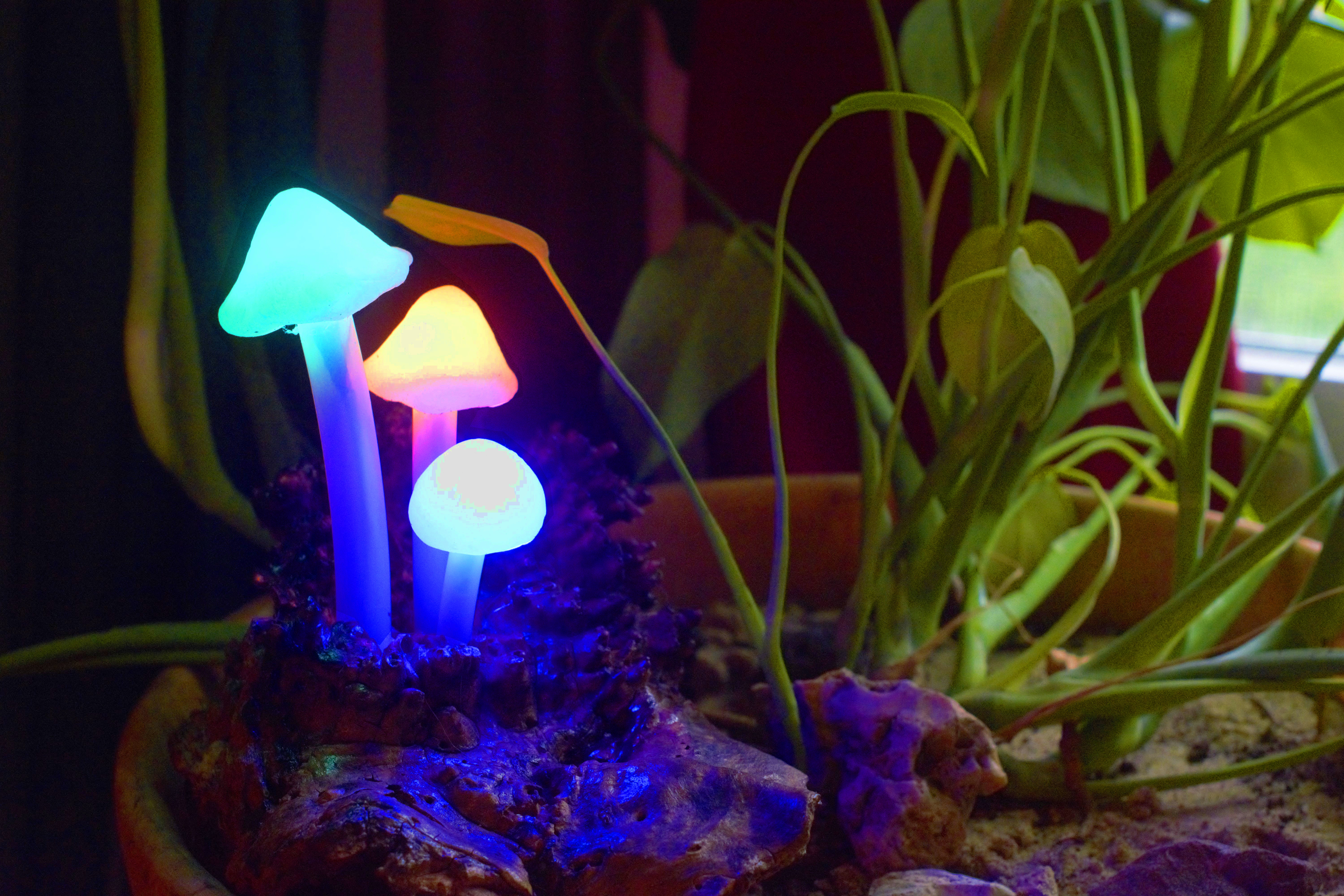 mushroom lamp 4.jpg