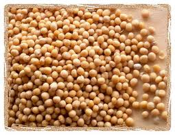 mustard seeds.png