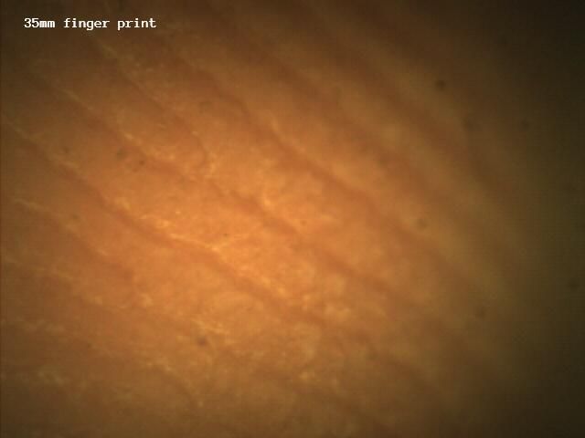 my_photo-29.jpg