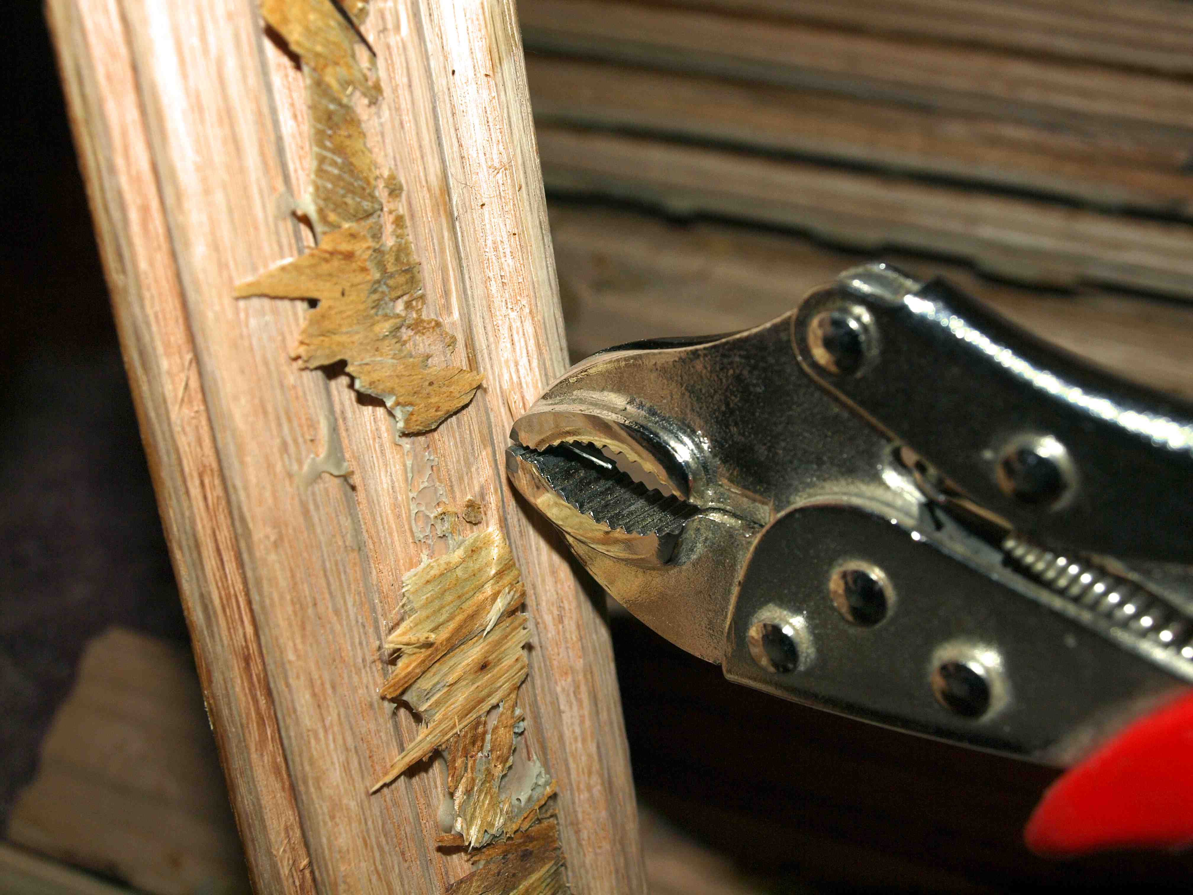 nail5.jpg