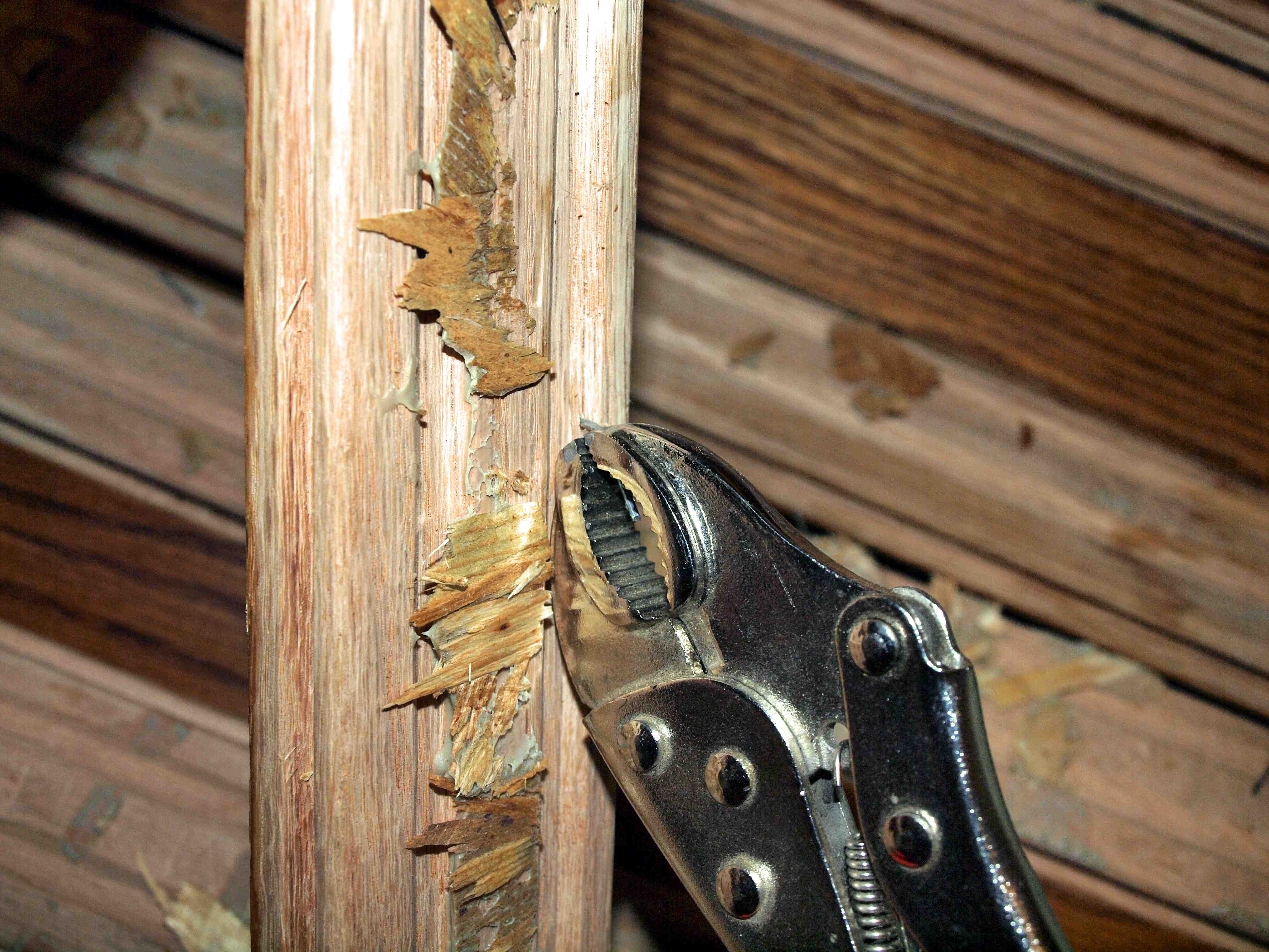 nail6.jpg
