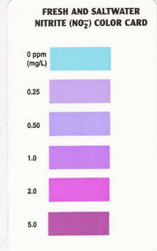 nitrite colour chart.jpg