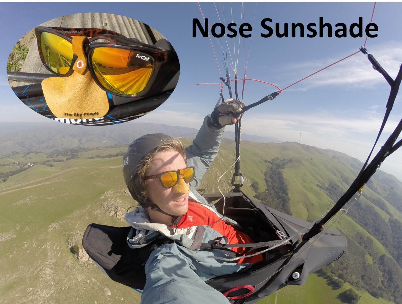 nosesunshade.jpg