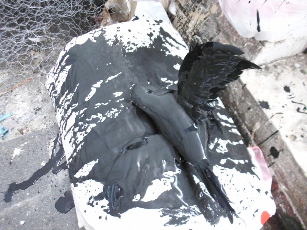 oilspill13.JPG