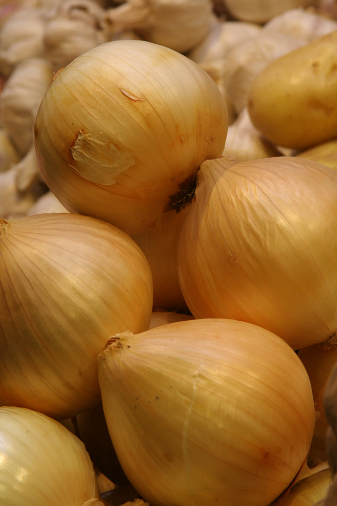 onions.jpg