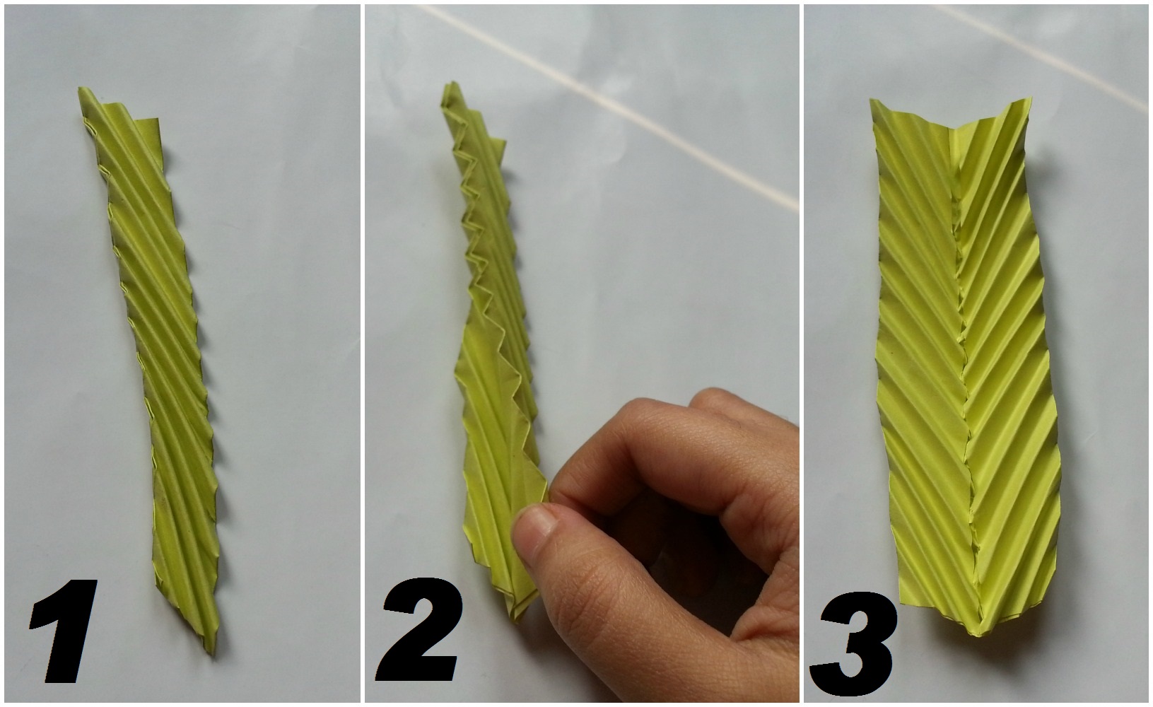 opening fold.jpg