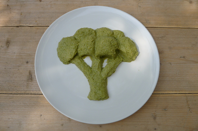 openproducts_-_broccoli_sculpture_-_intermediate_stage_1.jpg