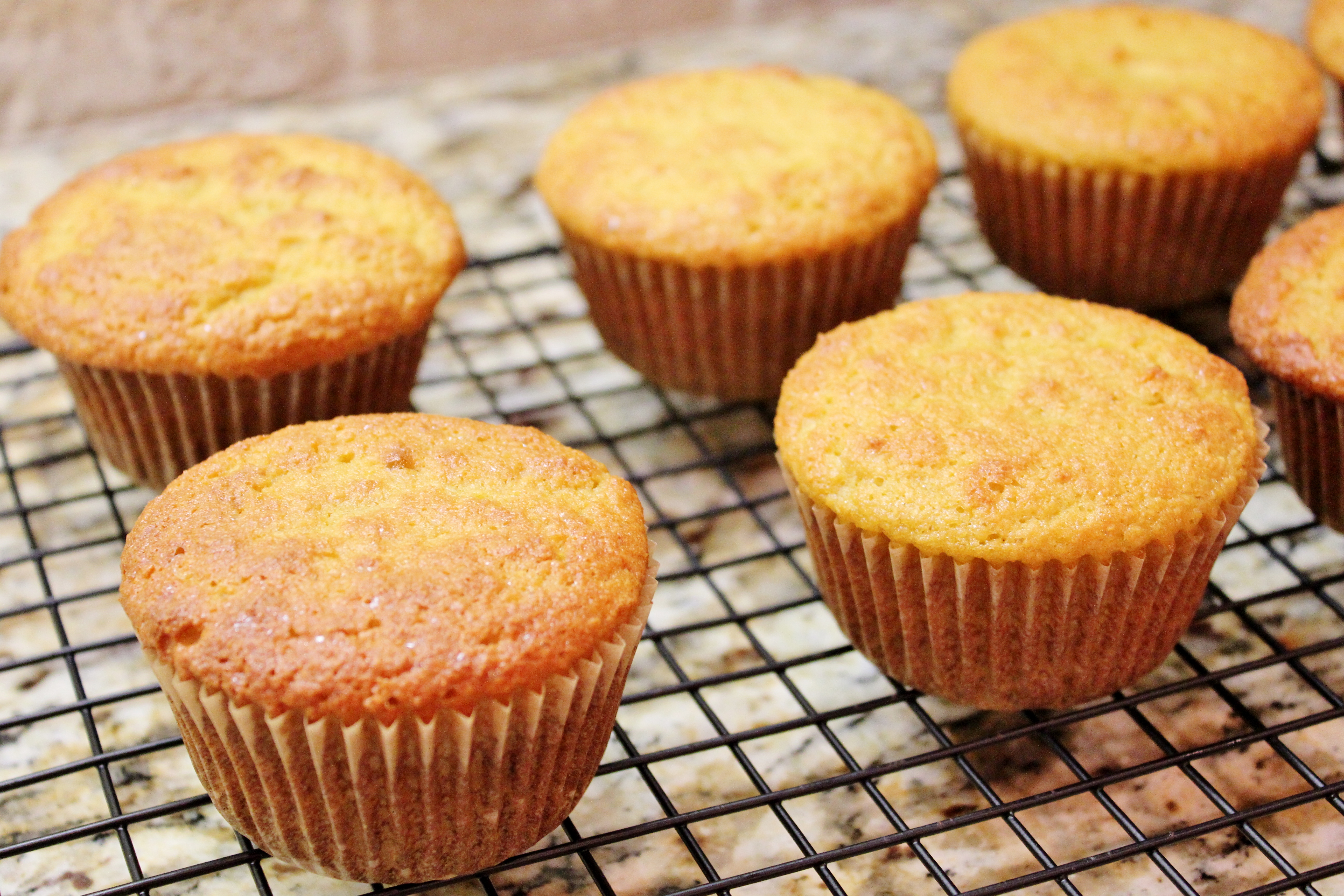 orange coconut flour muffins (2).JPG