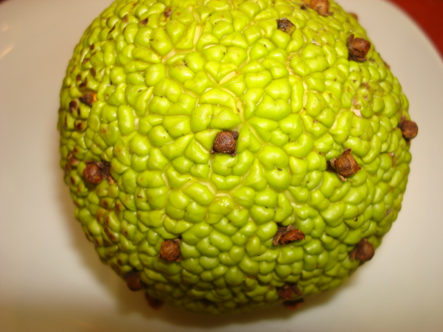 osage orange pomander 011.JPG