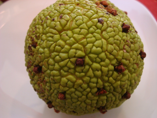 osage orange pomander 012.JPG