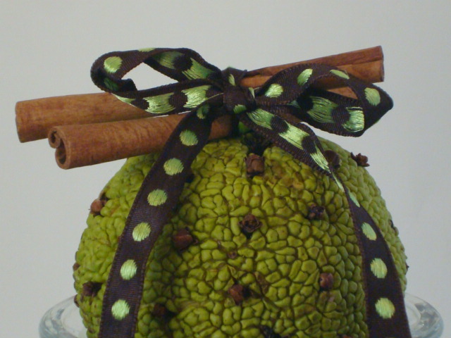 osage orange pomander 016.JPG