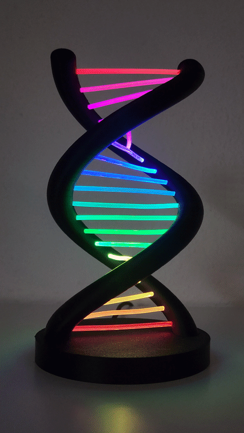 output (2).gif