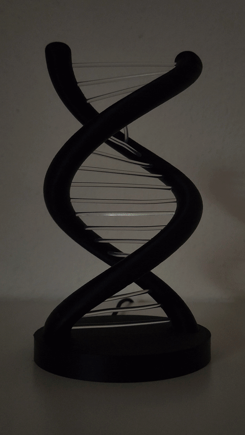 output (3).gif