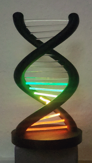 output (4).gif