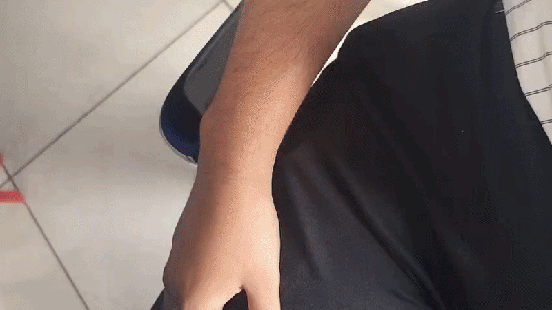 overview.gif