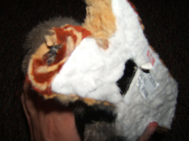 owl-04.jpg