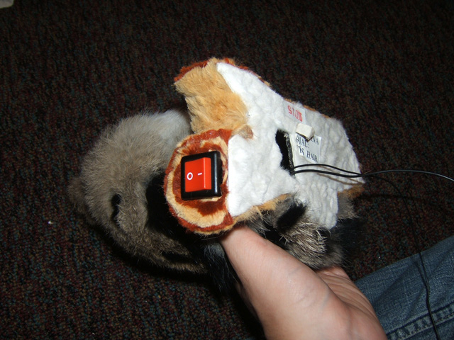 owl-06.jpg