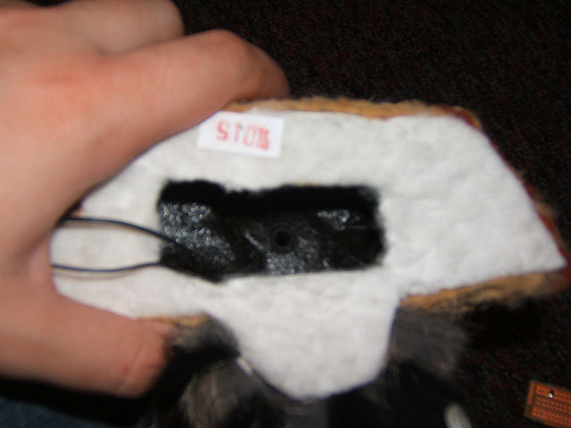 owl-13.jpg