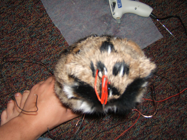 owl-14.jpg