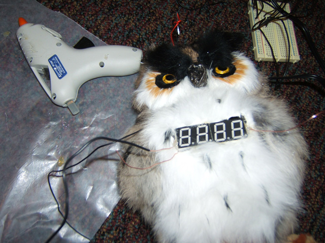 owl-16.jpg