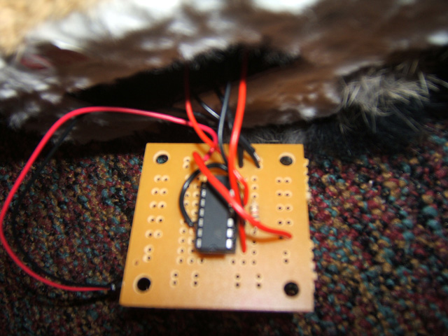 owl-19.jpg