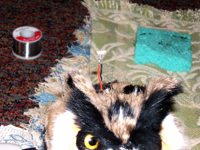 owl-20.jpg