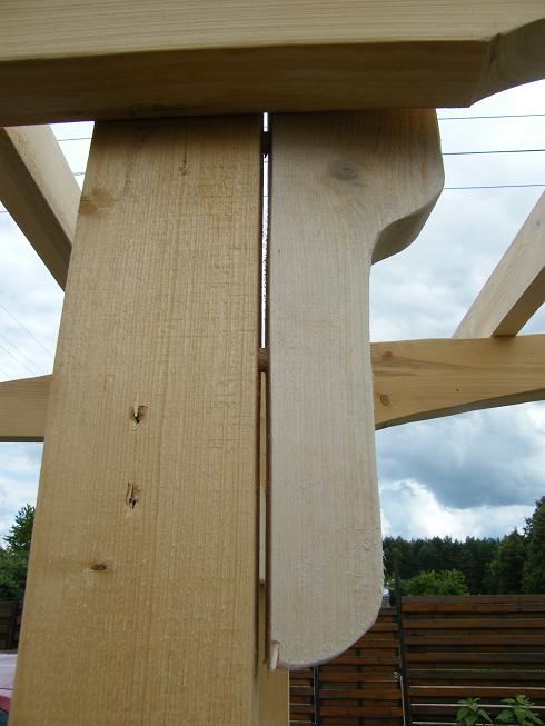 p14.jpg