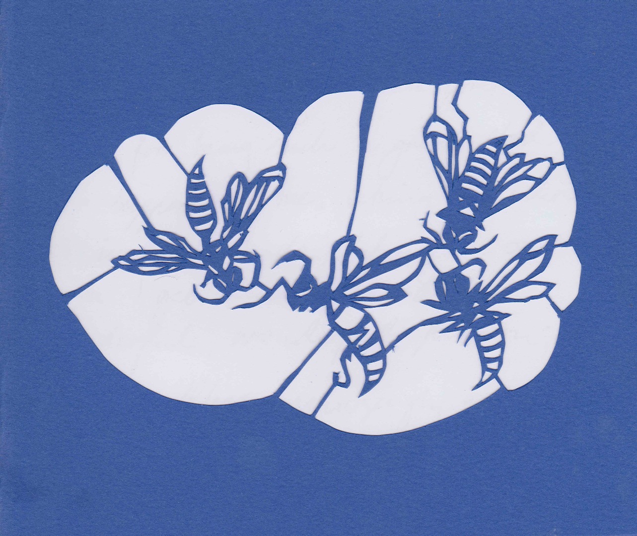 p34 - Paper Cut, Cloud of Wasps.jpg