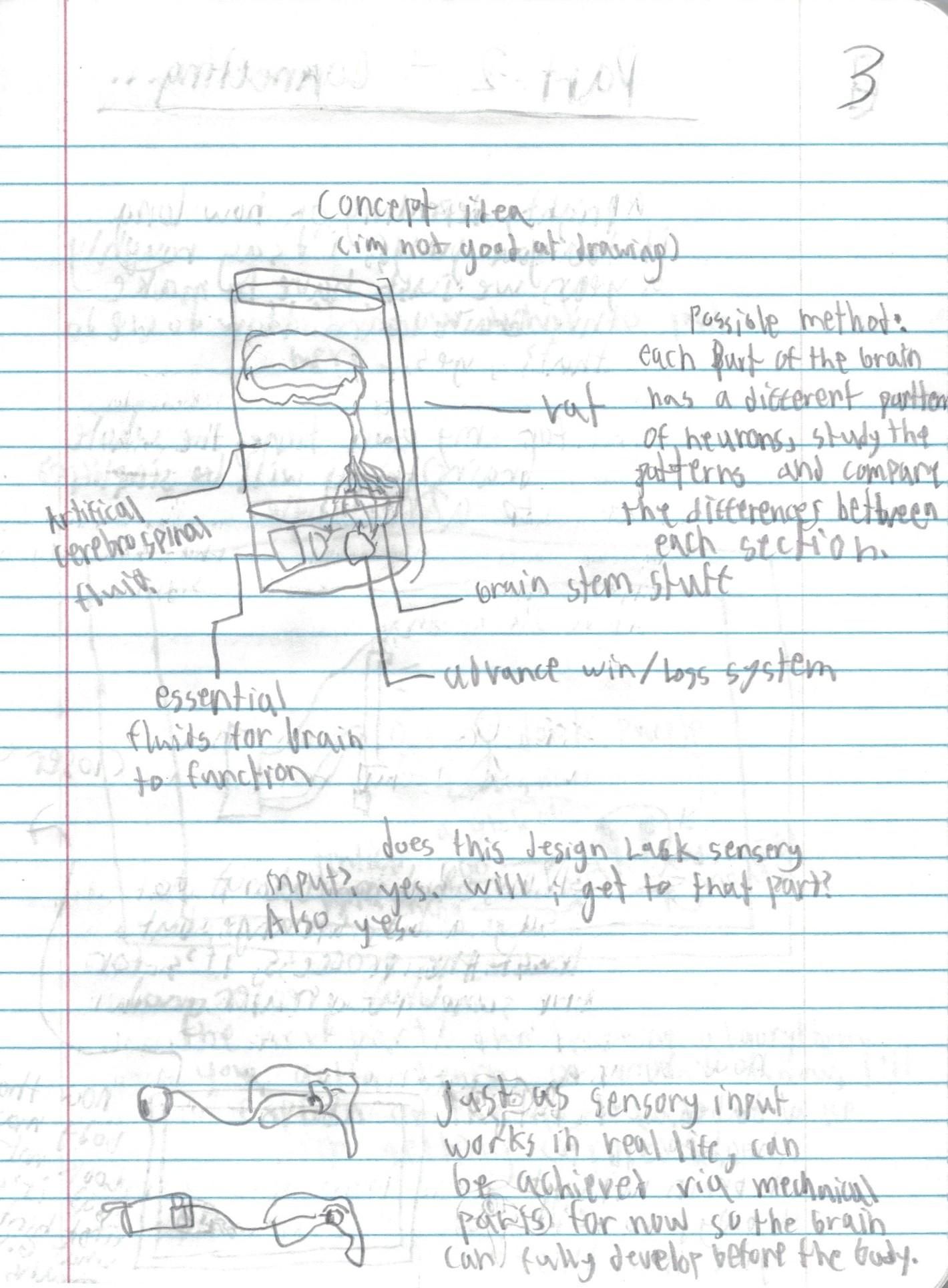 page 3.jpg