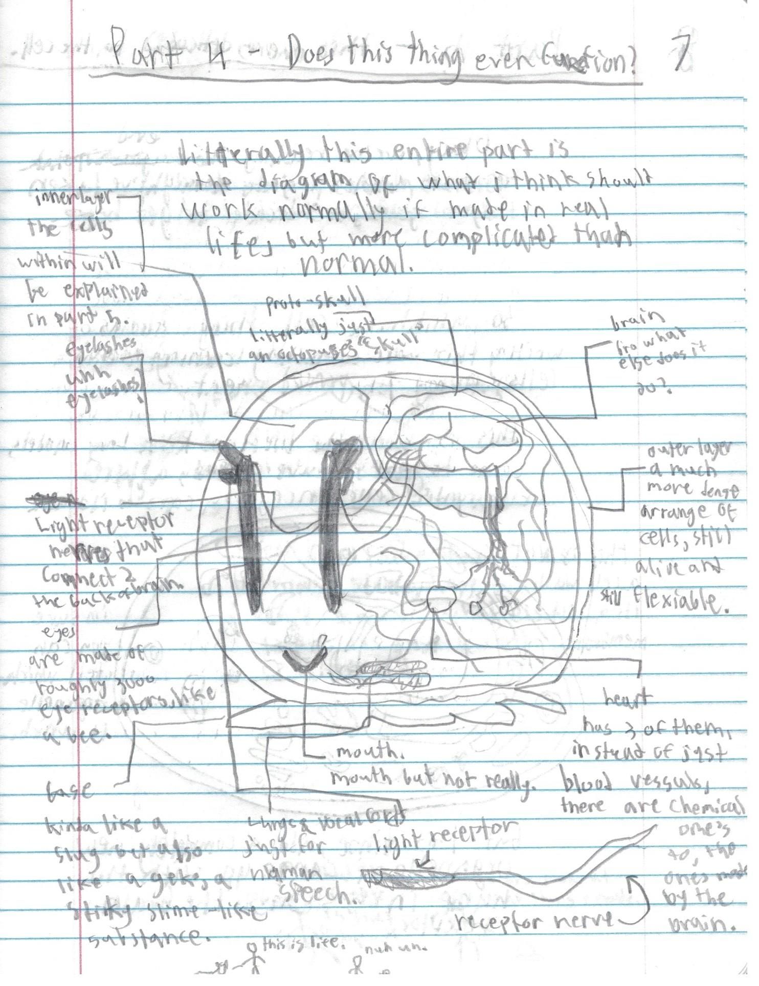 page 7.jpg