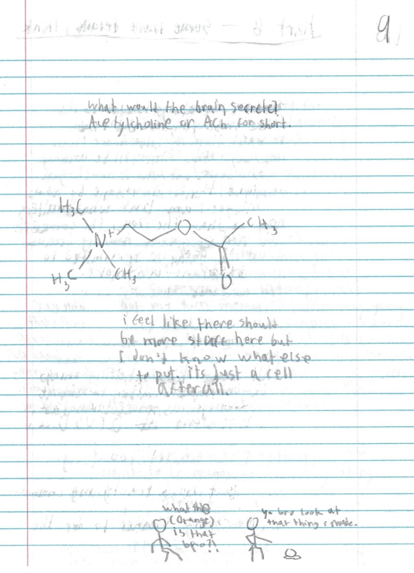 page 9.jpg