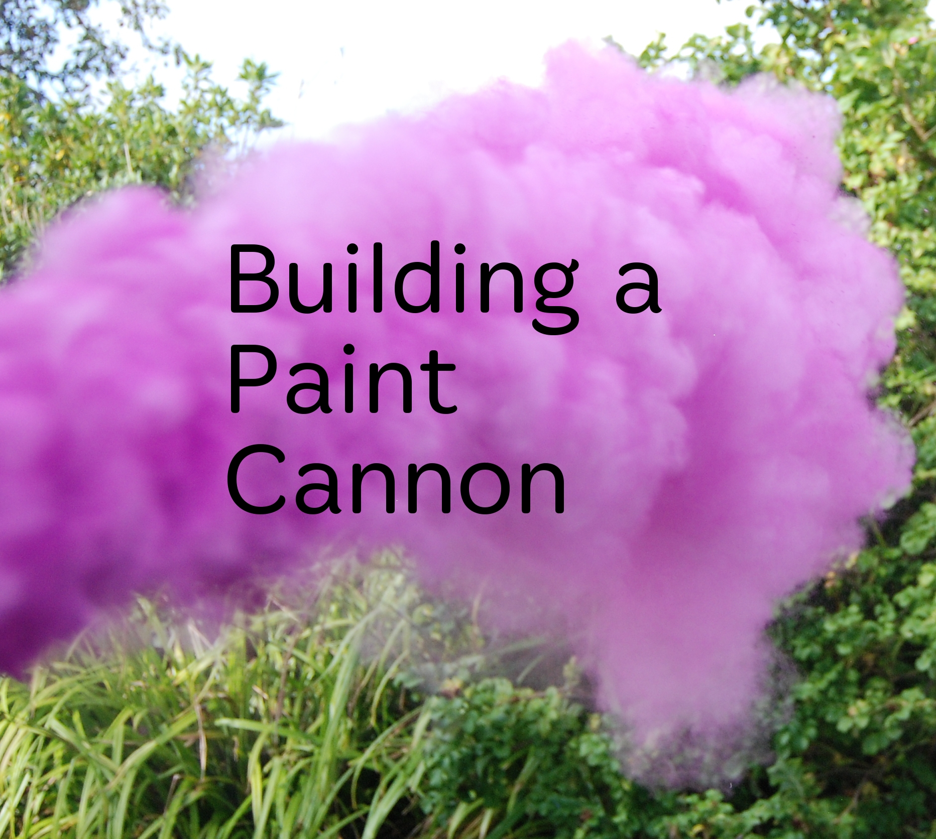 paintcannontitle2lg.JPG