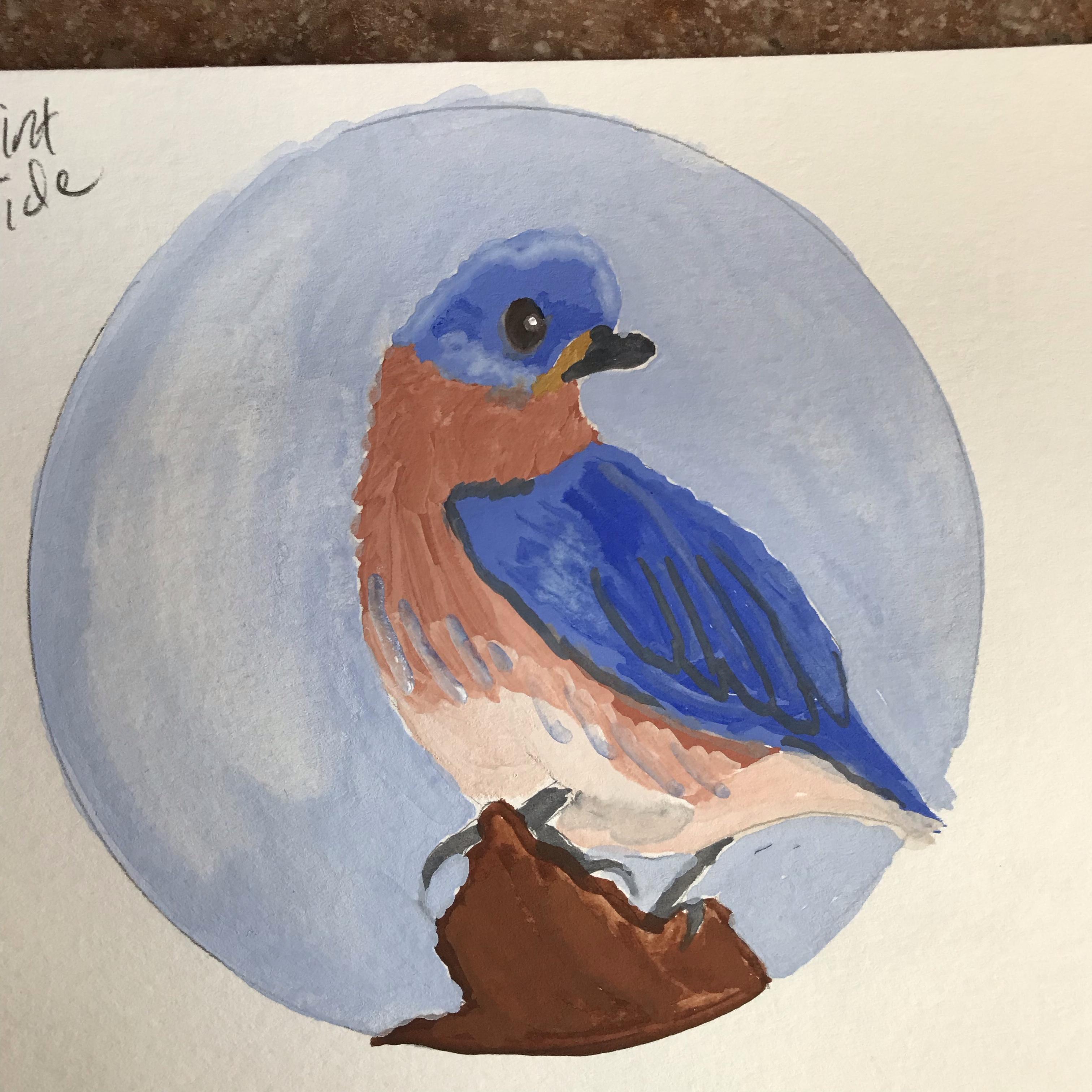 painted bluebird.JPG