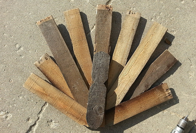 pallet-turkey-7.jpg