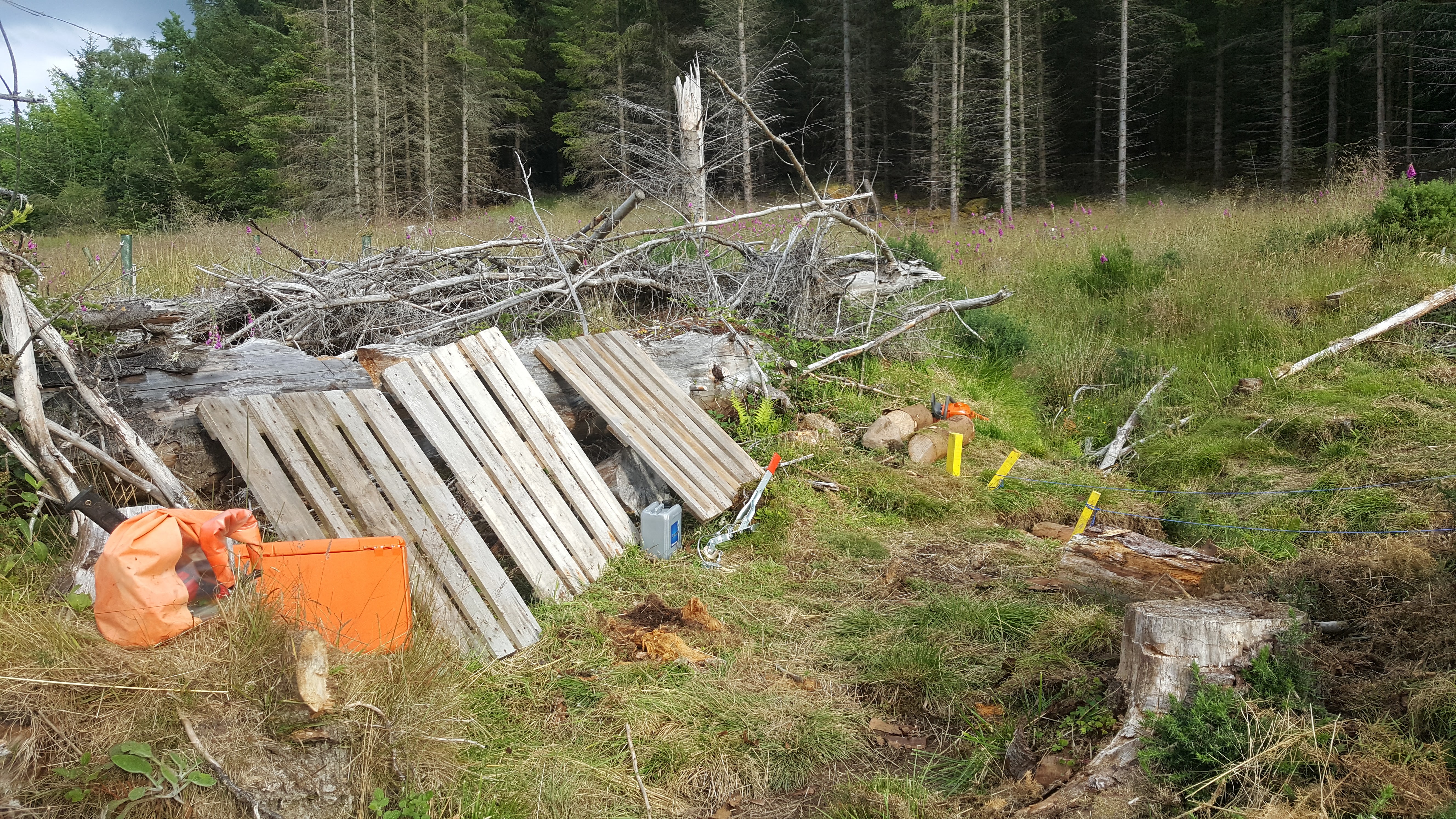 pallets and beams ready for cresoting.jpg