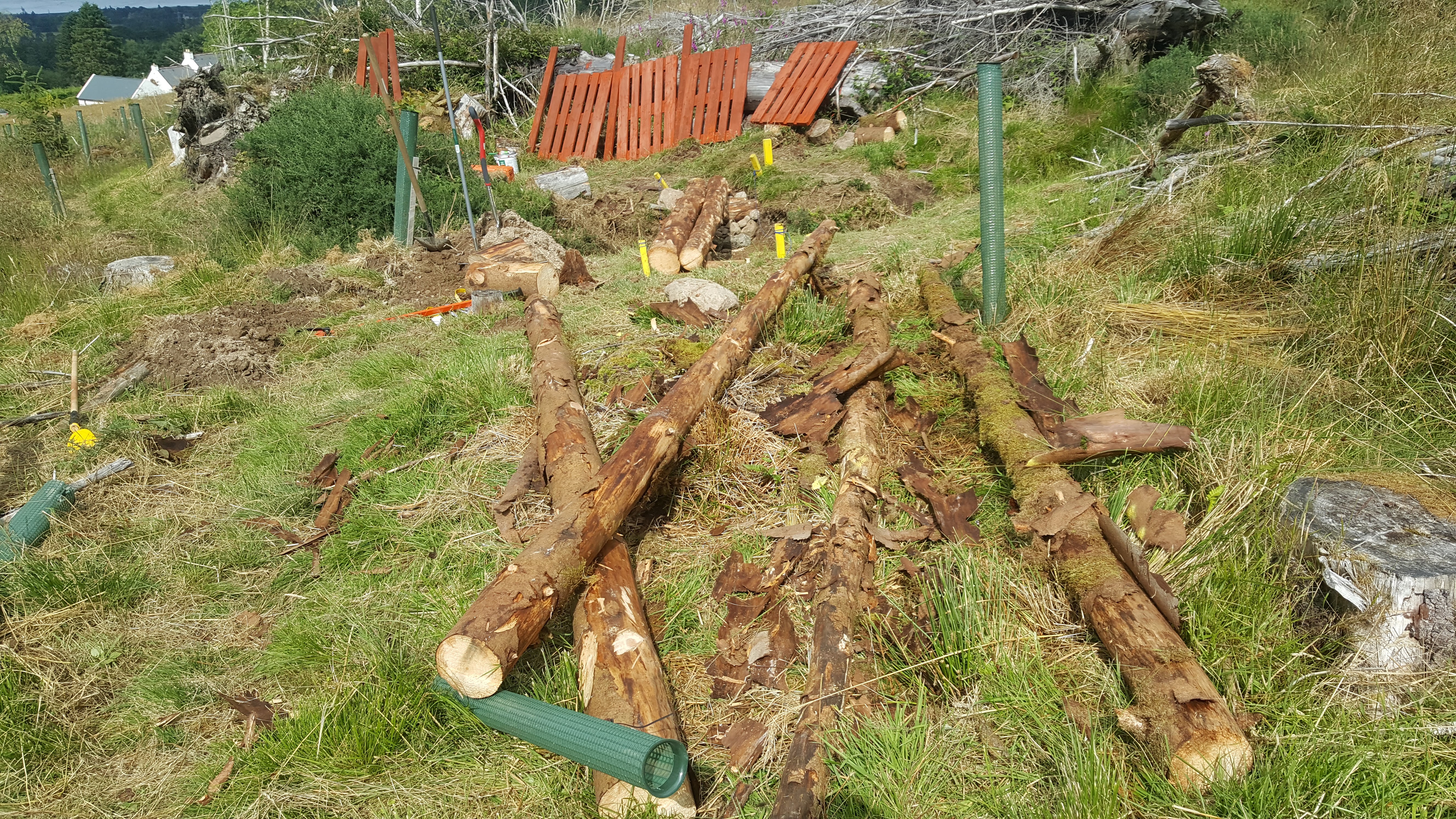 pallets painted, 2nd beam laid and more debarking as you go.jpg