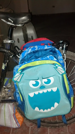 panniers2.jpg