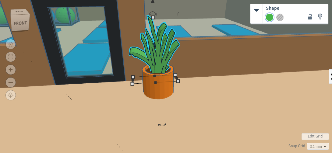 peacelilly plant.png