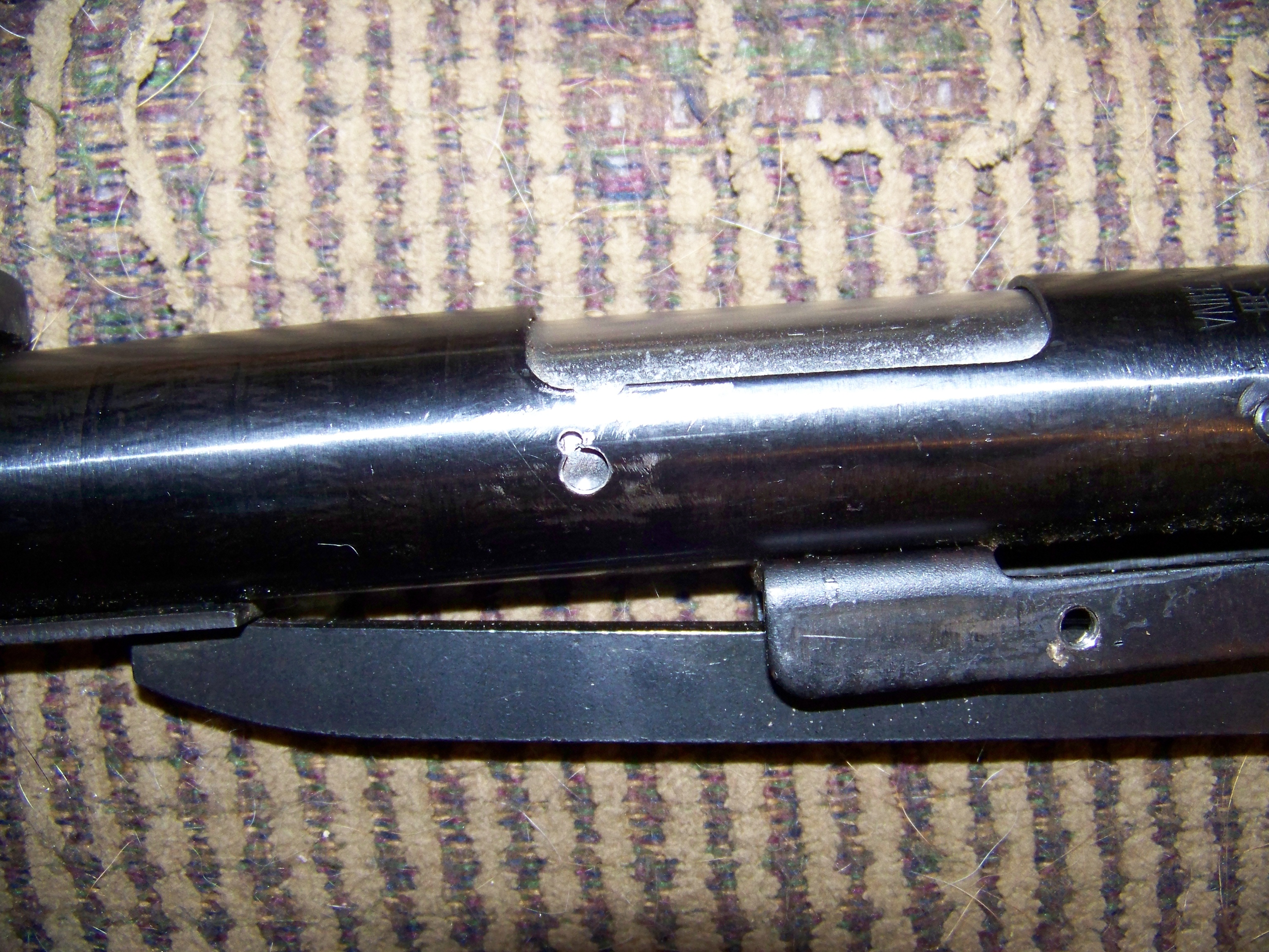 pellet gun 001.JPG