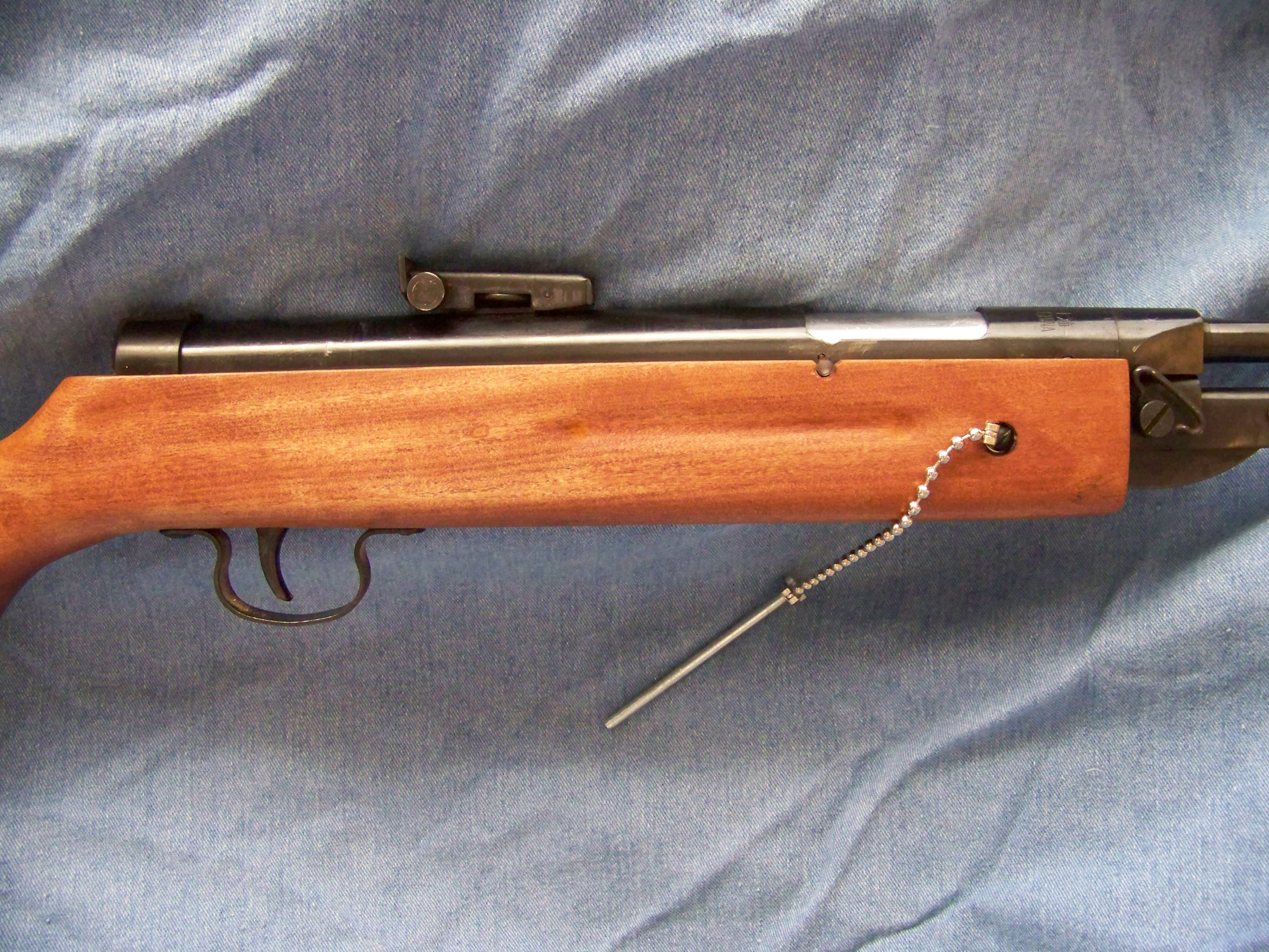 pellet gun 004.JPG