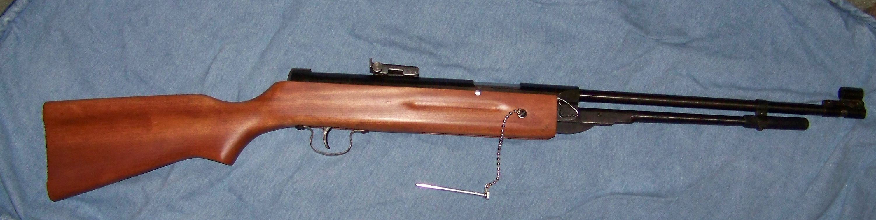 pellet gun 018.JPG