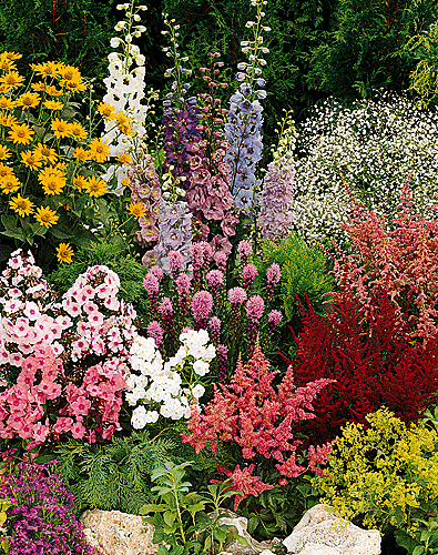 perennials.gif