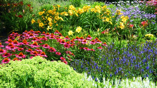 perennials.jpg