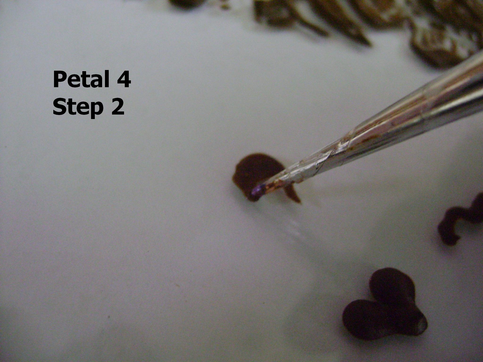 petal 32.JPG