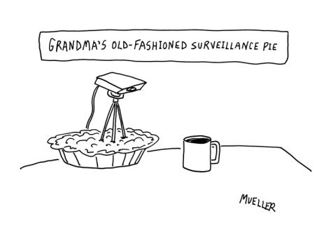 peter-mueller-surveillance-camera-sticking-out-of-pie-new-yorker-cartoon 2.jpg