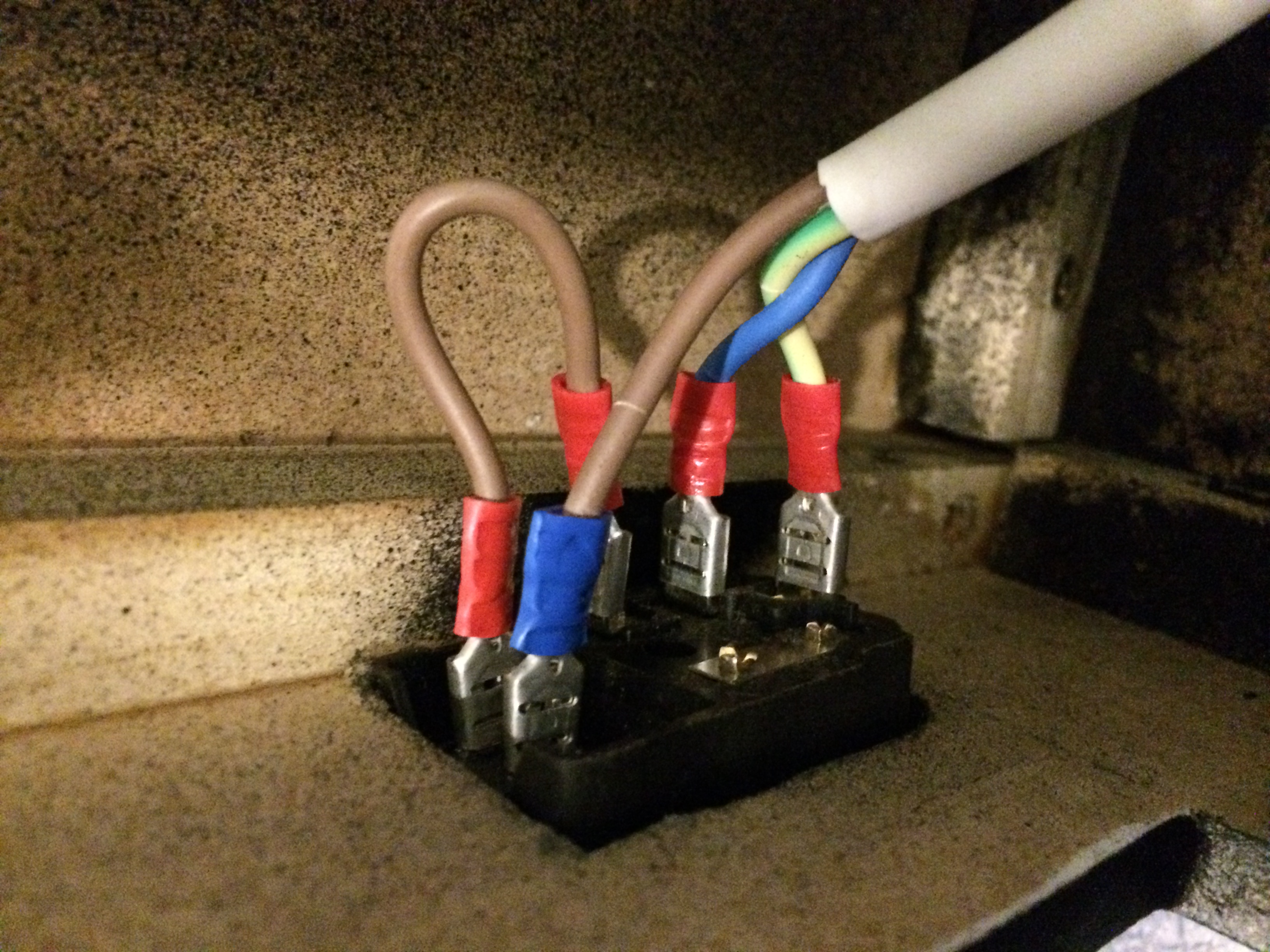 photo 5.JPG