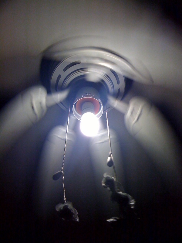photo.jpg